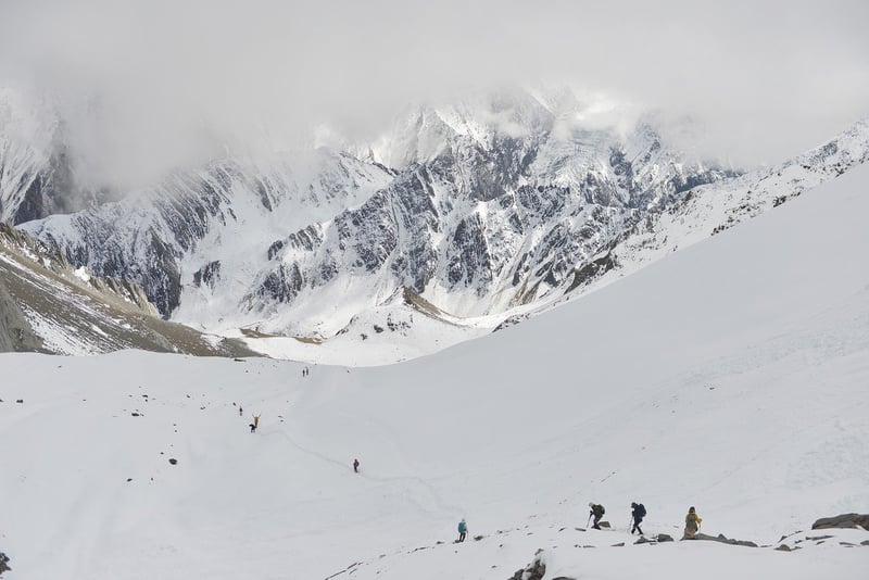 Culinary Expeditions